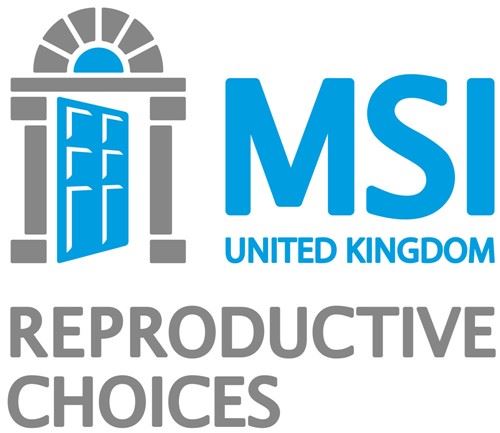 MSI Logo